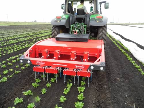 Steketee IC Weeder